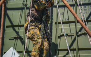 pzh