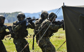 Dny NATO - Přepad a následné zajetí zájmové osoby (Natodays.cz)